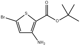 tert-Butyl 3-amino-5-bromothiophene-2-carboxylate Structure