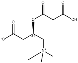 Malonyl-L-carnitine Structure