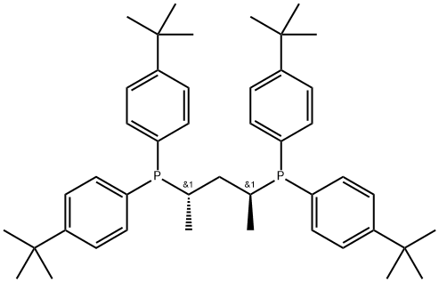 Phosphine, [(1S,3S)-1,3-dimethyl-1,3-propanediyl]bis[bis[4-(1,1-dimethylethyl)phenyl]- (9CI) 구조식 이미지