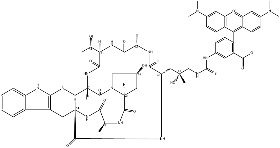 tetramethylrhodamine phalloidin 구조식 이미지