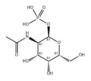 α-D-Galactopyranose, 2-(acetylamino)-2-deoxy-, 1-(dihydrogen phosphate) Structure