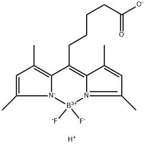 Borate(1-), [ε-(3,5-dimethyl-2H-pyrrol-2-ylidene-κN)-3,5-dimethyl-1H-pyrrole-2-hexanoato(2-)-κN1]difluoro-, hydrogen (1:1), (T-4)- Structure