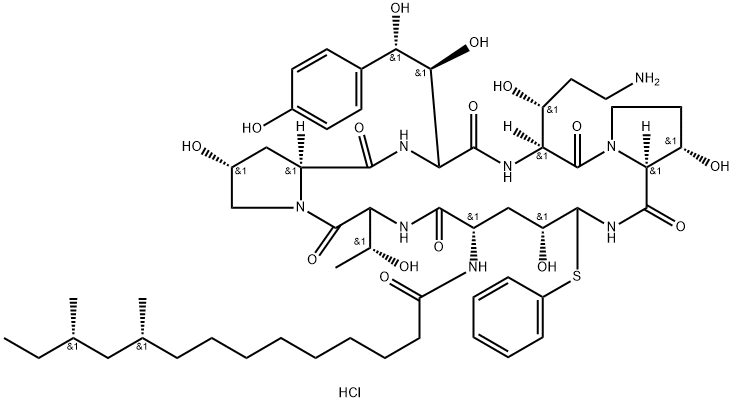 Pneumocandin 구조식 이미지