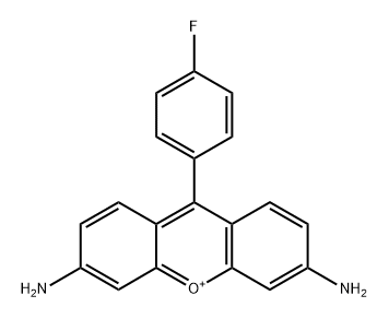 KP 1 Structure