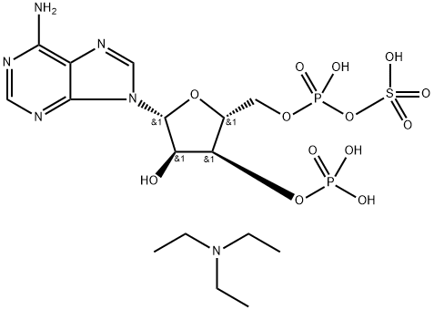 3'-포스포아데노신-5'-포스포설페이트트리에틸암모늄염 구조식 이미지