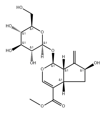 Cyclopenta[c]pyran-4-carboxylic acid, 1-(β-D-glucopyranosyloxy)-1,4a,5,6,7,7a-hexahydro-6-hydroxy-7-methylene-, methyl ester, (1S,4aS,6S,7aS)- Structure