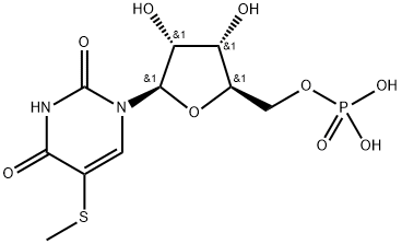 poly-5-methylthiouridylic acid Structure