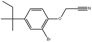 2-[2-Bromo-4-(1,1-dimethylpropyl)phenoxy]acetonitrile Structure