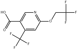 6-(2,2,2-Trifluoroethoxy)-4-(trifluoromethyl)-3-pyridinecarboxylic acid Structure