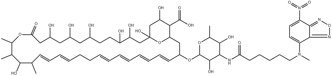 NBD-nystatin Structure