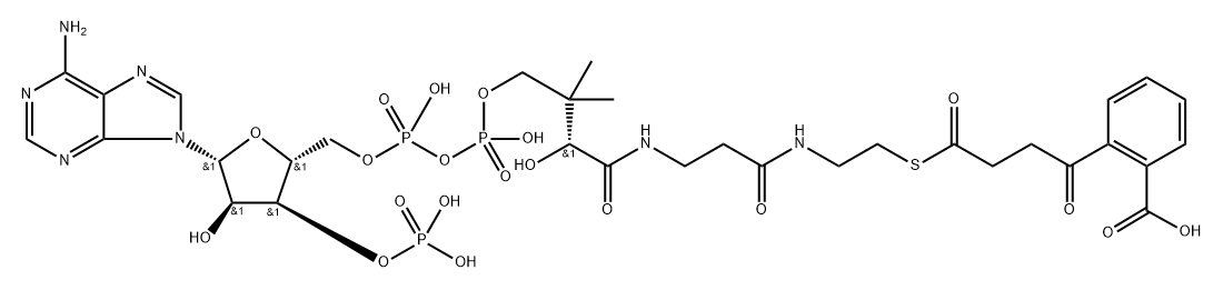 4-(2'-carboxyphenyl)-4-oxobutyryl-coenzyme A ester Structure