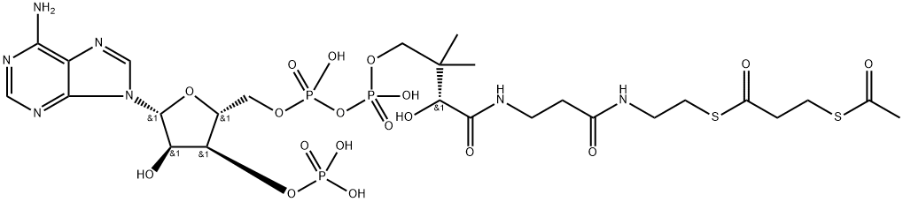 S-acetyl-3-mercaptopropanoyl-coenzyme A Structure