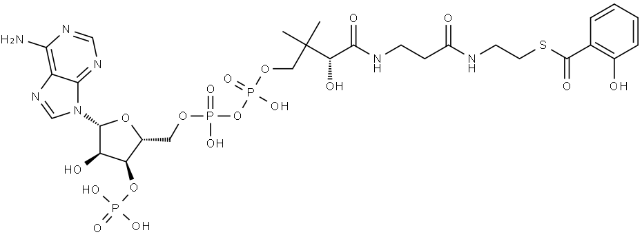 Coenzyme A, S-(2-hydroxybenzoate) 구조식 이미지