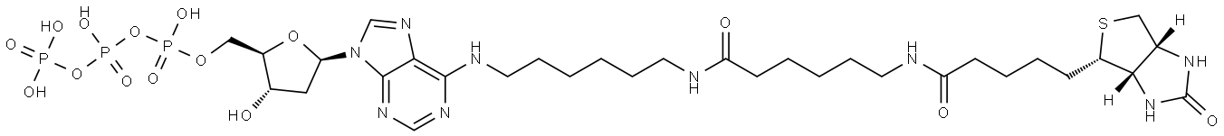 Biotin-14-dATP Structure