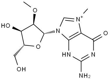 2-Amino-9-[(2R,3R,4R,5R)-4-hydroxy-5-(hydroxymethyl)-3-methoxytetrahydrofuran-2-yl]-7-methyl-6-oxo-6,9-dihydro-1H-purin-7-ium Iodide Structure