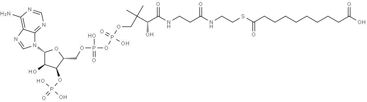 Coenzyme A, S-(hydrogen decanedioate) Structure