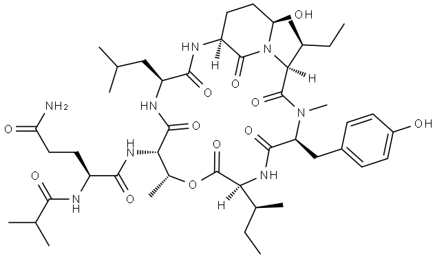 L-Isoleucine, N2-(2-methyl-1-oxopropyl)-L-glutaminyl-L-threonyl-L-leucyl-(αS,3S,6R)-3-amino-6-hydroxy-α-[(1S)-1-methylpropyl]-2-oxo-1-piperidineacetyl-N-methyl-L-tyrosyl-, (6→2)-lactone Structure