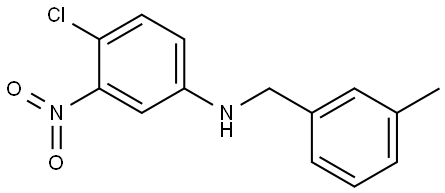 4-chloro-N-(3-methylbenzyl)-3-nitroaniline Structure