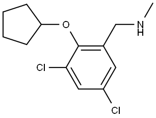 3,5-Dichloro-2-(cyclopentyloxy)-N-methylbenzenemethanamine Structure