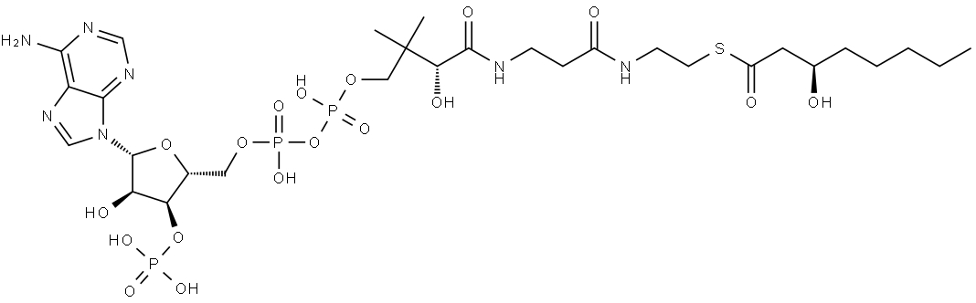 3(R)-Hydroxyoctanoyl-CoA Structure