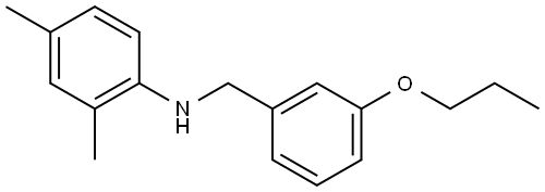 N-(2,4-Dimethylphenyl)-3-propoxybenzenemethanamine Structure