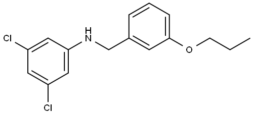 N-(3,5-Dichlorophenyl)-3-propoxybenzenemethanamine Structure