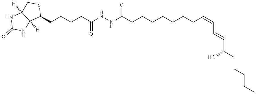 INDEX NAME NOT YET ASSIGNED Structure