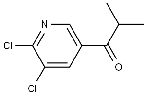 1-(5,6-Dichloro-3-pyridinyl)-2-methyl-1-propanone Structure