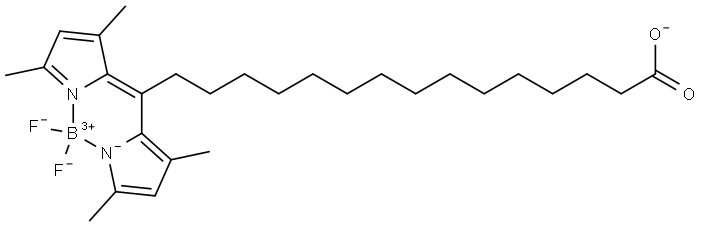 BODIPY-Palmitate Structure