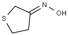 (E)-dihydrothiophen-3(2H)-one oxime Structure