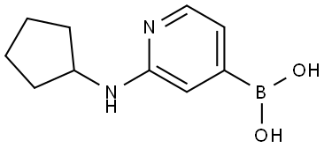 B-[2-(Cyclopentylamino)-4-pyridinyl]boronic acid 구조식 이미지