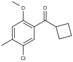 (5-Chloro-2-methoxy-4-methylphenyl)cyclobutylmethanone Structure