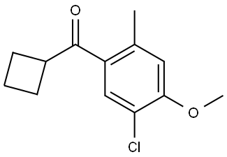 (5-Chloro-4-methoxy-2-methylphenyl)cyclobutylmethanone Structure