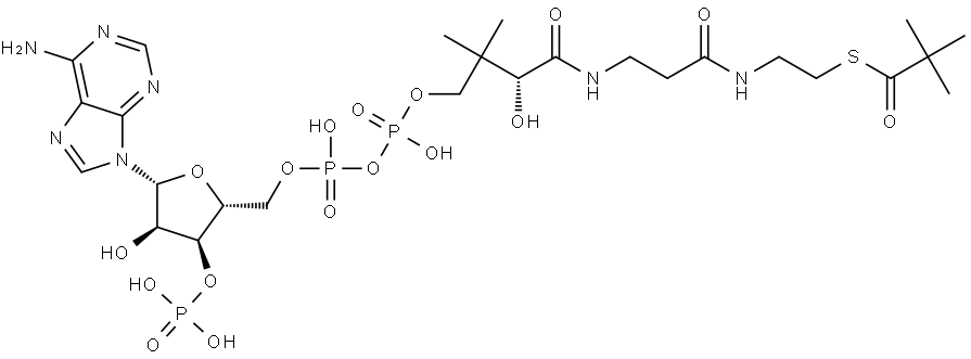 Coenzyme A, S-(2,2-dimethylpropanoate) Structure