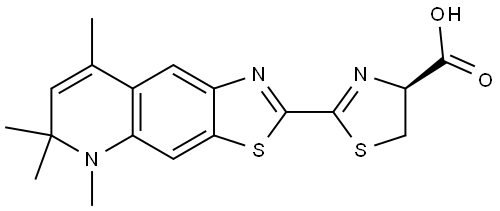 cycluc6 Structure