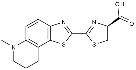 cycluc10 Structure