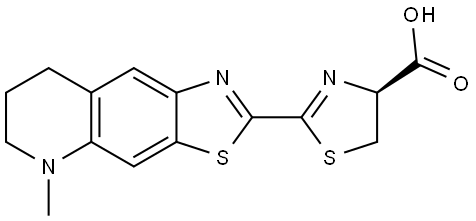 cycluc8 Structure