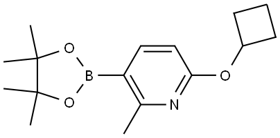 Pyridine, 6-(cyclobutyloxy)-2-methyl-3-(4,4,5,5-tetramethyl-1,3,2-dioxaborolan-2-yl)- Structure