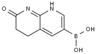 (7-Oxo-1,5,6,7-tetrahydro-1,8-naphthyridin-3-yl)boronic acid Structure