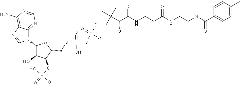 Coenzyme A, S-(4-methylbenzoate) Structure