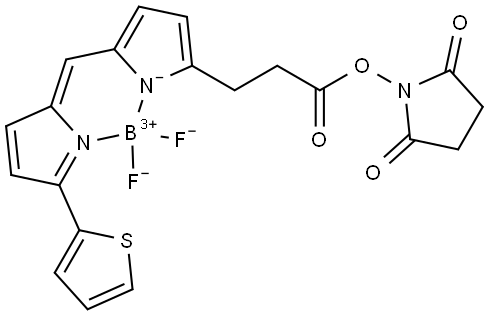 BODIPY 558/568 Succinimidyl Ester Structure