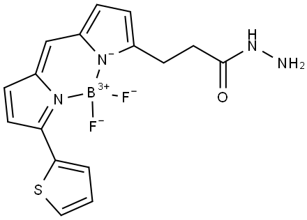 3-(5,5-Difluoro-7-(thiophen-2-yl)-5H-5l4,6l4-dipyrrolo[1,2-c:2',1'-f][1,3,2]diazaborinin-3-yl)propanehydrazide Structure