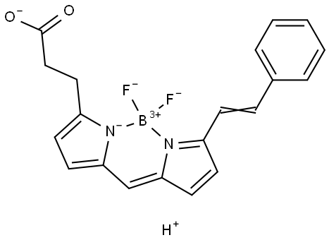 BDP 564/570 carboxylic acid Structure