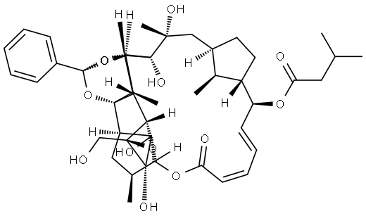 Trigothysoid N Structure