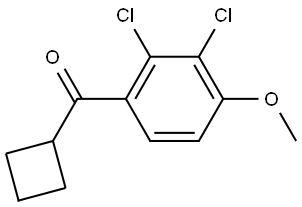 Cyclobutyl(2,3-dichloro-4-methoxyphenyl)methanone Structure