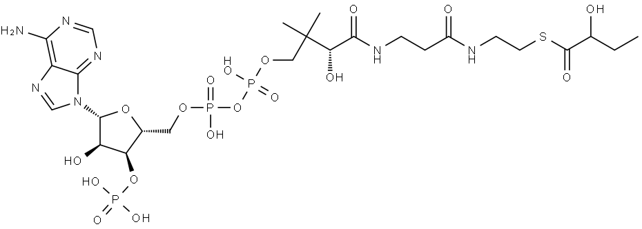 Coenzyme A, S-(2-hydroxybutanoate) Structure