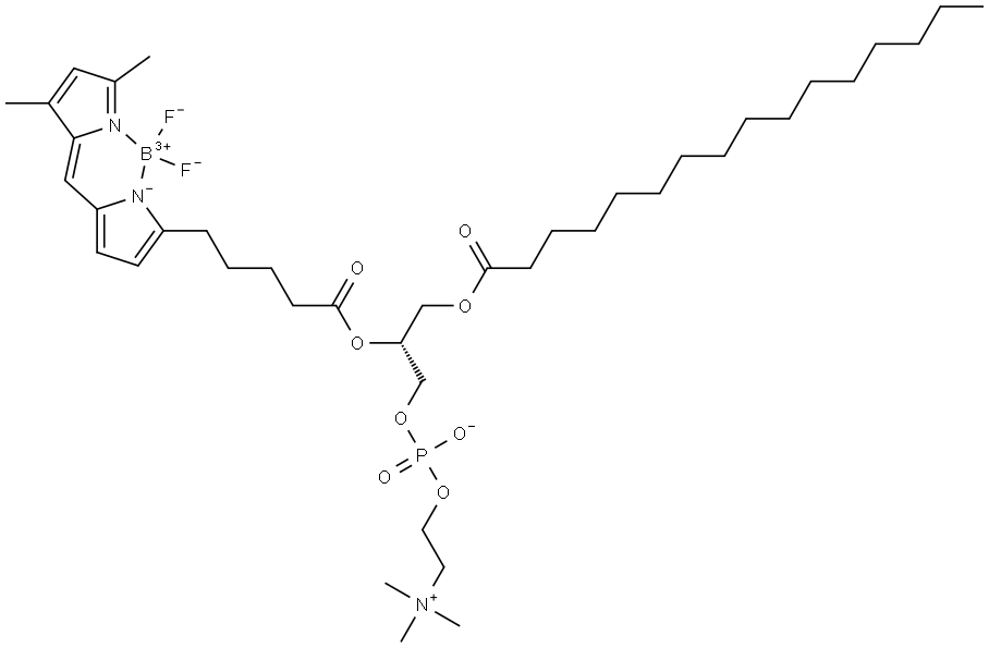 Boron, [(7R)?-?7-?[[5-?[5-?[(3,?5-?dimethyl-?2H-?pyrrol-?2-?ylidene-?κN)?methyl]?-?1H-?pyrrol-?2-?yl-?κN]?-?1-?oxopentyl]?oxy]?-?4-?hydroxy-?N,?N,?N-?trimethyl-?10-?oxo-?3,?5,?9-?trioxa-?4-?phosphapentacosan-?1-?aminium 4-?oxidato(2-?)?]?difluoro-?, (T-?4)?- Structure