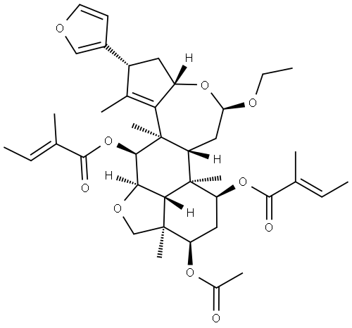 INDEX NAME NOT YET ASSIGNED Structure