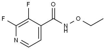 N-Ethoxy-2,3-difluoro-4-pyridinecarboxamide Structure