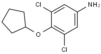 3,5-Dichloro-4-(cyclopentyloxy)benzenamine Structure